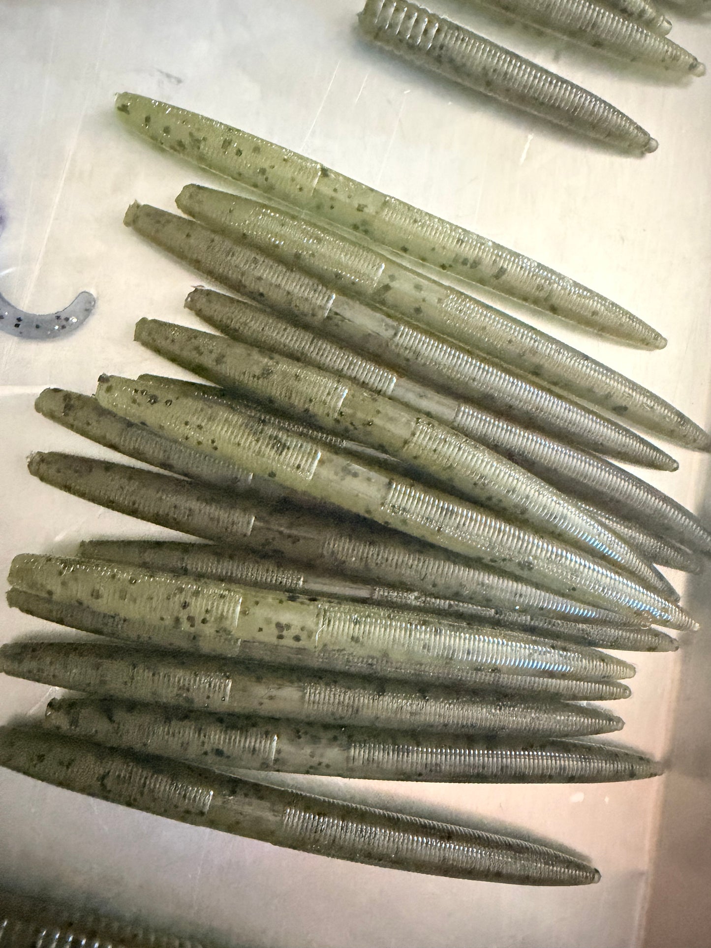 BILLY CLUB 050 : GREEN PUMPKIN - SEED